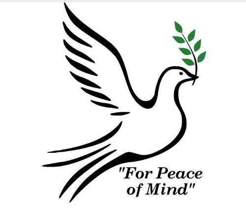 Ally Counseling Services