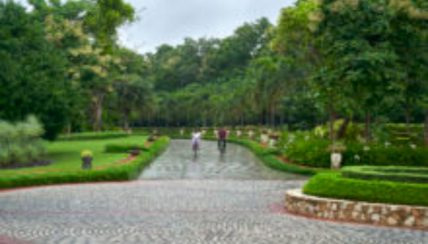 Alpha Healing Center