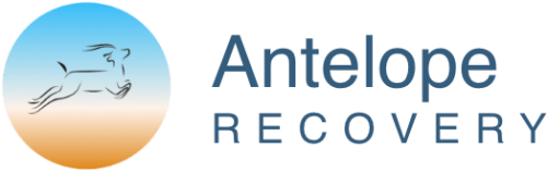 Antelope Recovery