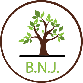 BNJ Health Services