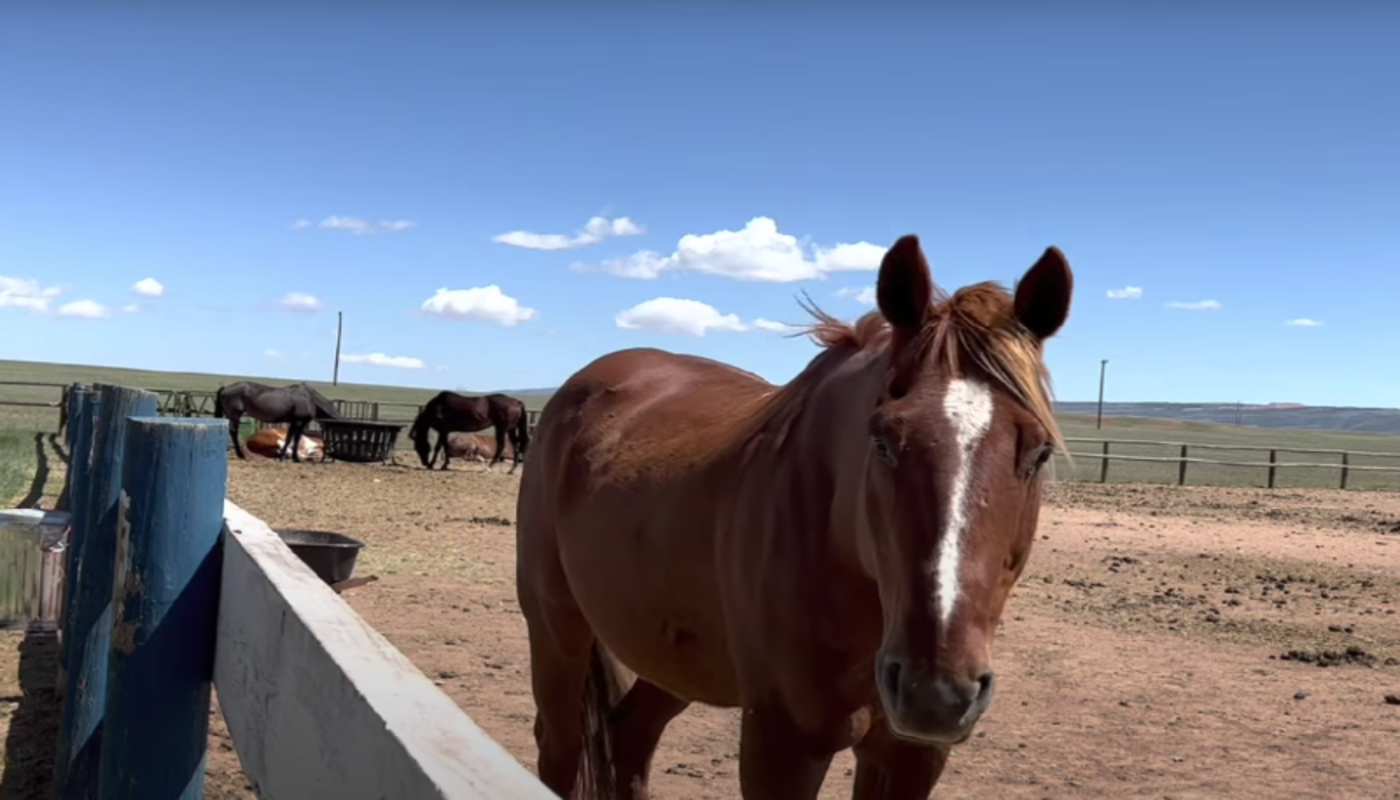 Cathedral Home for Children