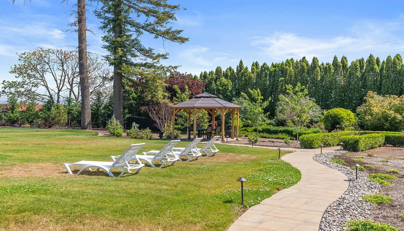 Discover Recovery Prune Hill