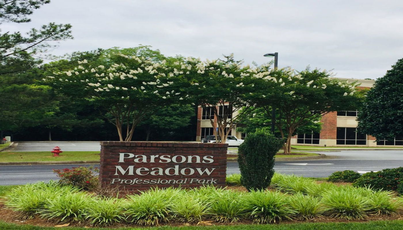 Ellie Mental Health Johns Creek