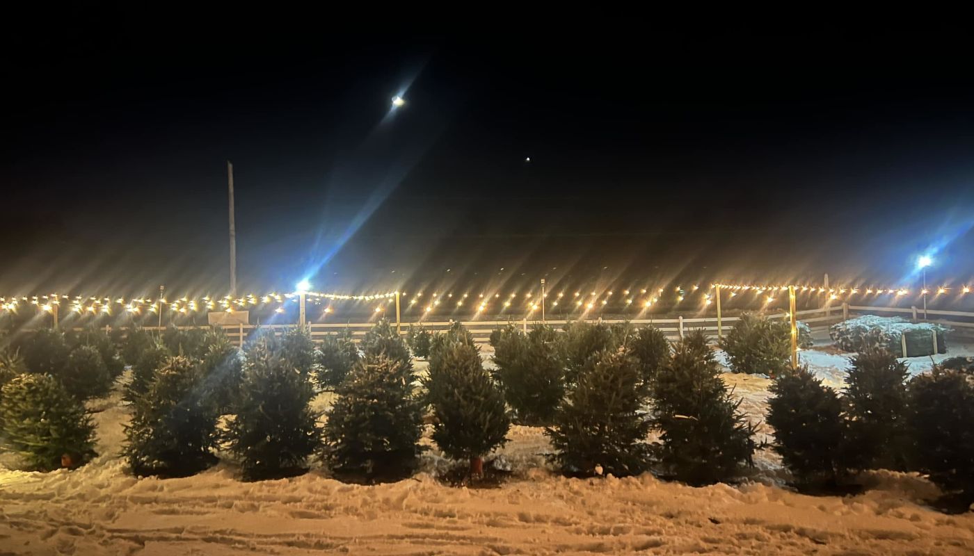 GAAMHA - Outpatient Services