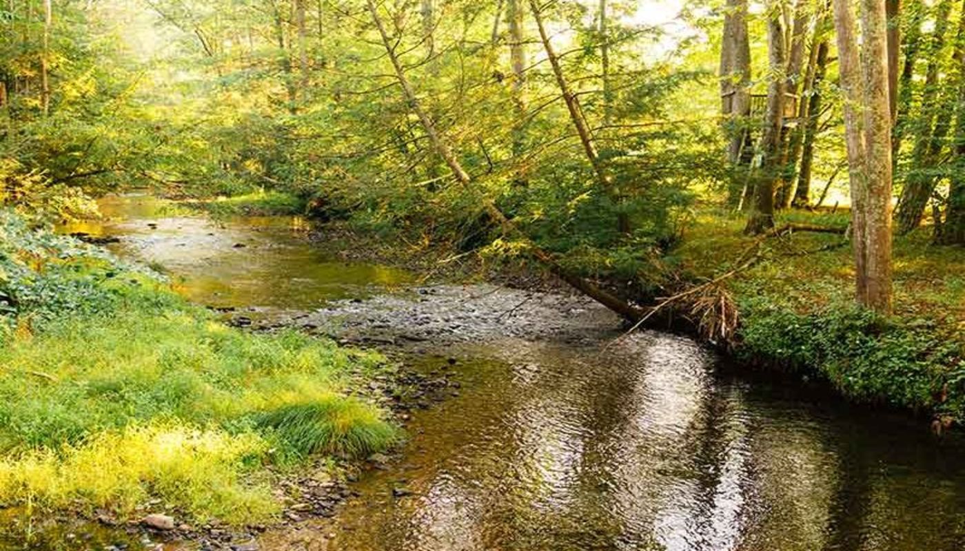 Huntington Creek Recovery Center