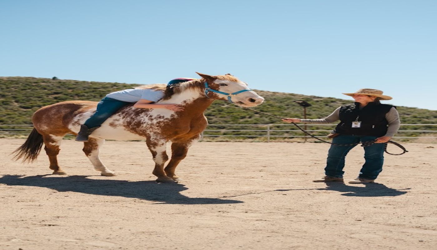Mingus Mountain Youth Treatment Center