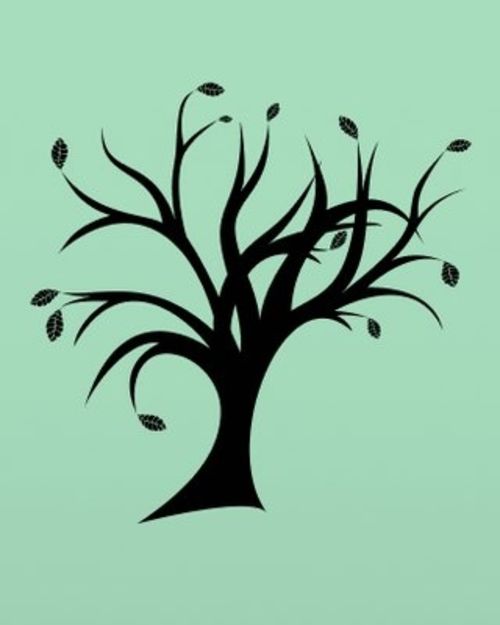 NexStep Teen Academy