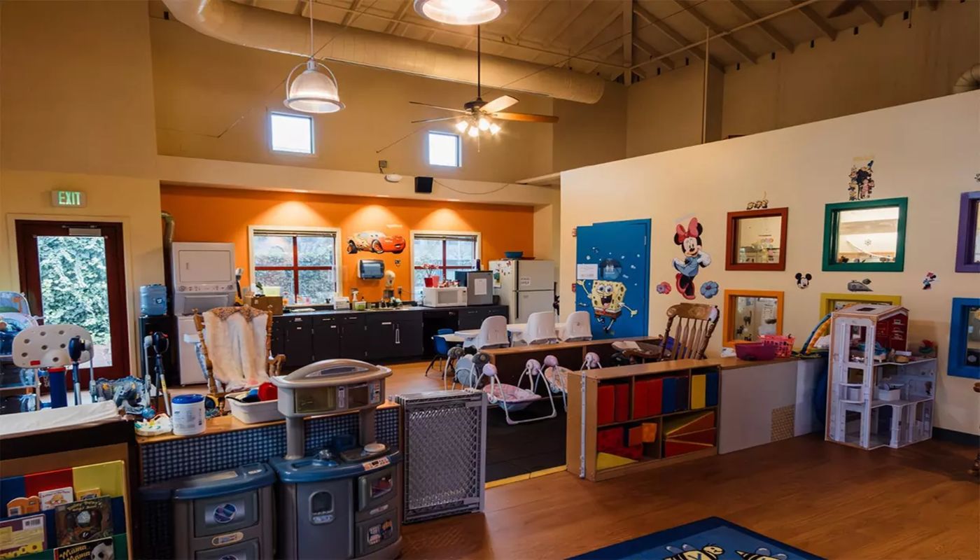 Perinatal Substance Abuse Program (PSAP)