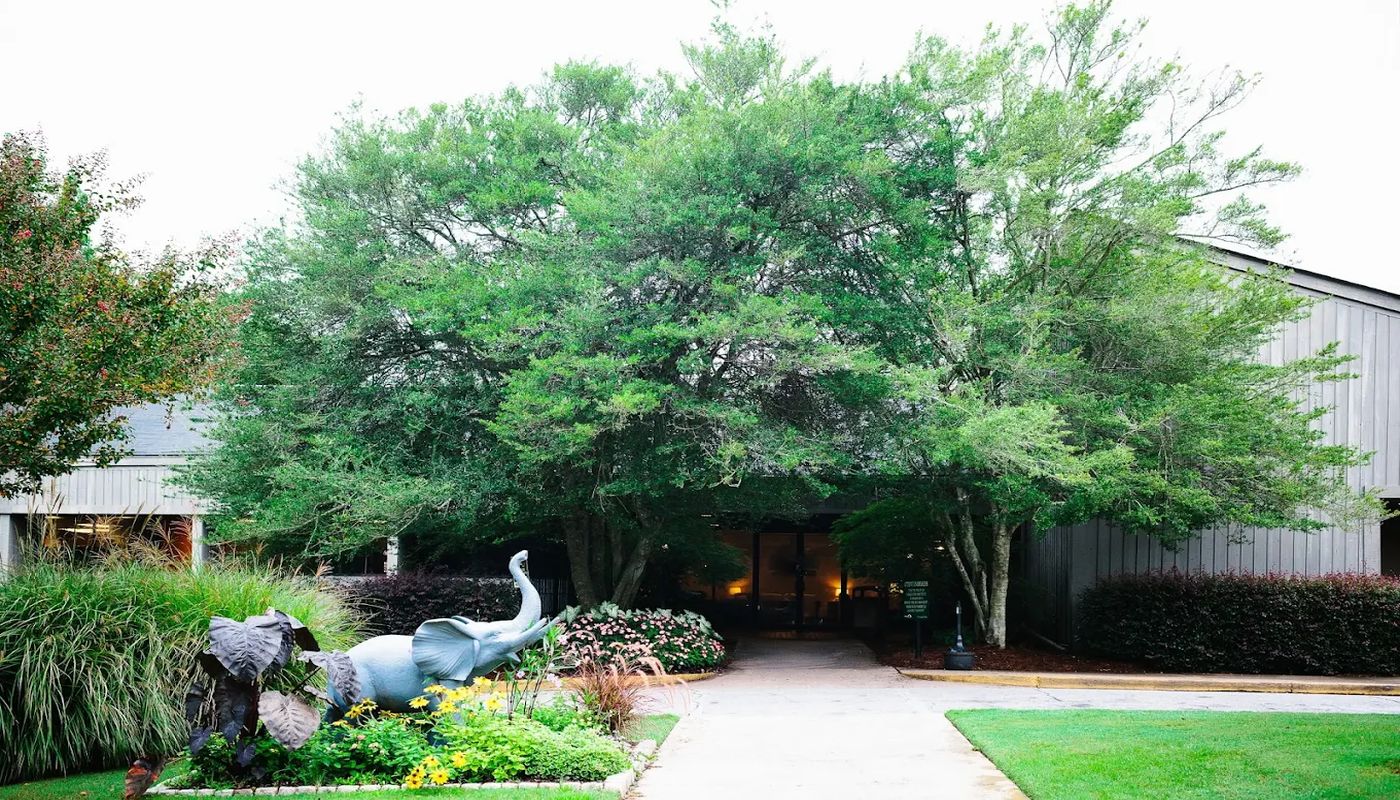 Ridgeview Institute Smyrna