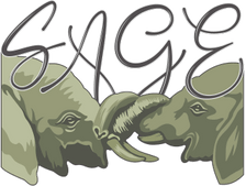 Substance Abuse Guidance and Education (SAGE) Fort Worth