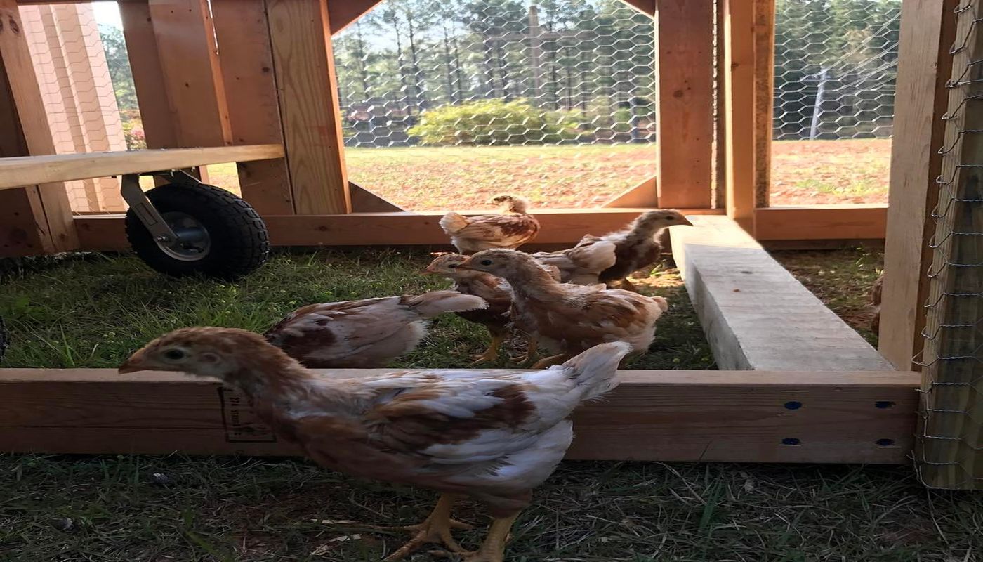 Teen Challenge Pine Mountain Boys Academy