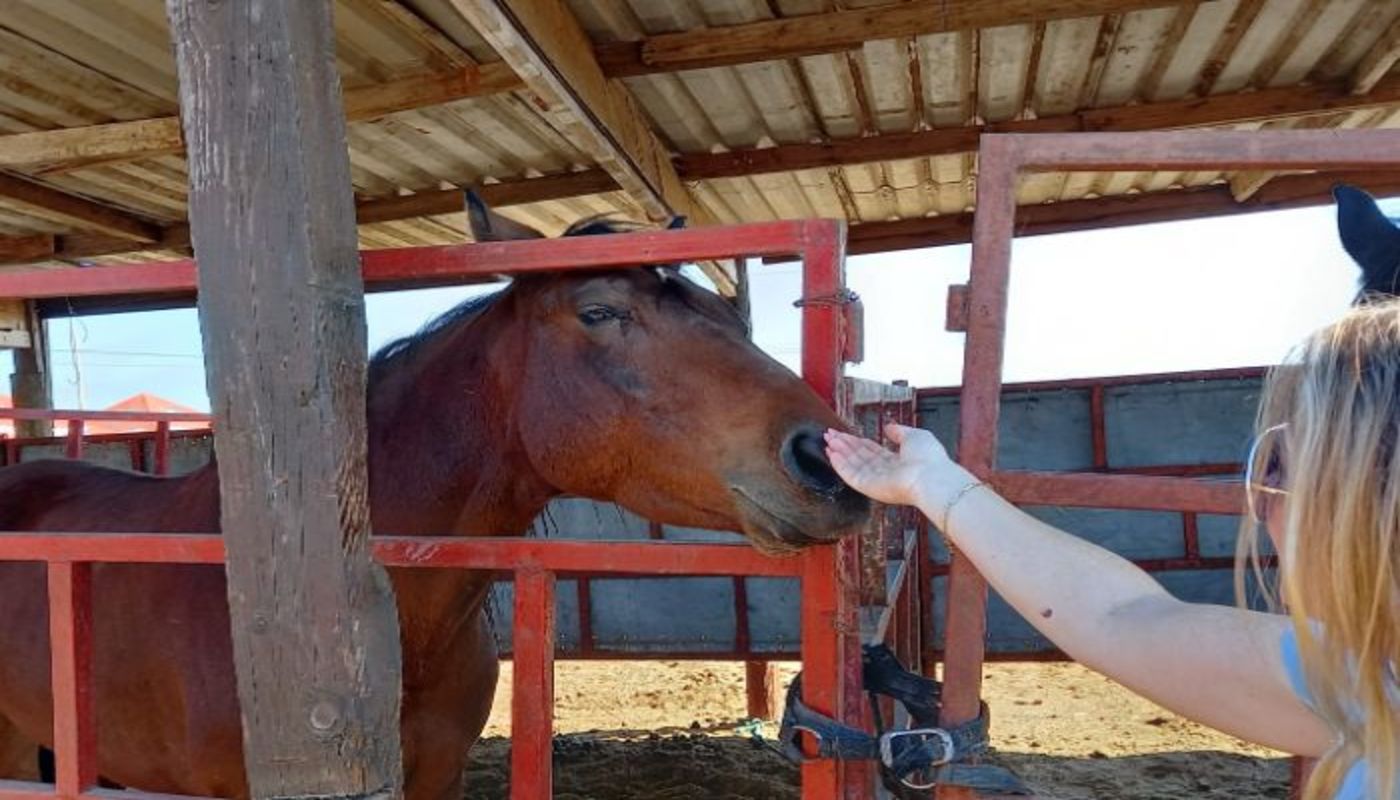 Twilight Recovery Center